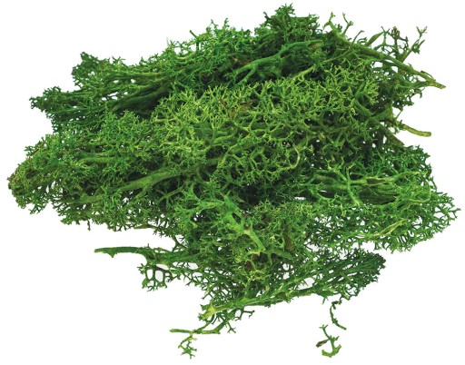 ДЕКОРАТИВНЫЙ искусственный мох для декора C.GREEN