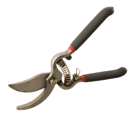 PROLINE Sekator sadowniczy 25cm Mocny