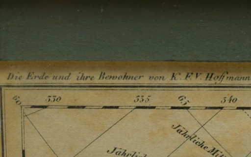 1835r. Stara Mapa roślinności Europy 42x32 cm