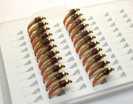 Caddis bicolor NYMPH размер 10 вольфрам