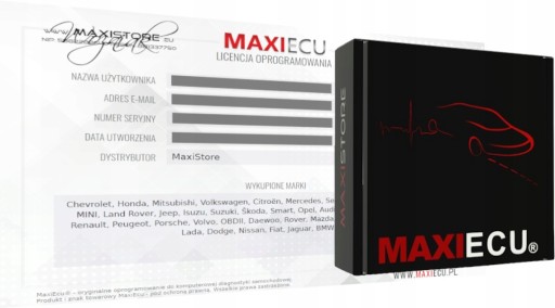MAXI ECU для SMART - ПОЛЬСКАЯ СЕРВИСНАЯ СИСТЕМА