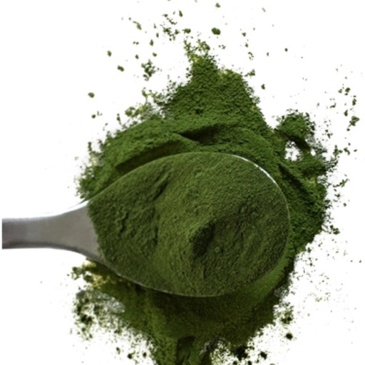 GREEN WAYS BIO CHLORELLA PYRENOIDOSA SOROKINIANA DETOX + бесплатный мерный стаканчик