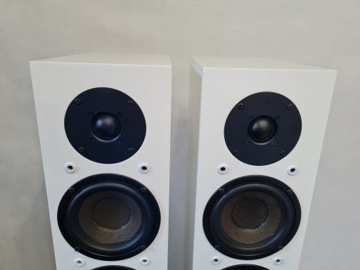 DLS R55 – громкоговорители