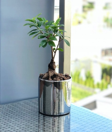 Doniczka srebrna chrom lustrzana cylinder h 30 cm Ø 30 cm ceramiczna