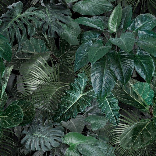 Таблица протектора 40x160 Monstera 8260 листьев