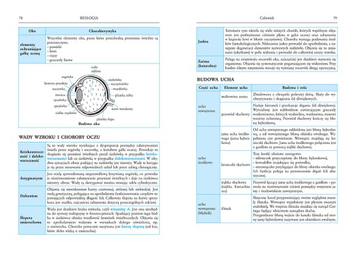 TABLICE ŁĄCZONE + REPETYTORIUM Chemia Liceum Techn