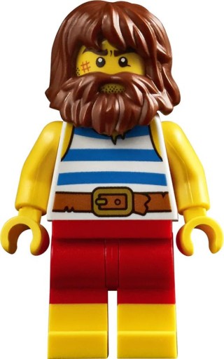 LEGO Ideas 40566 Рэй Кастауэй
