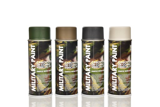 Deco Color MILITARY PAINT SPRAY лак RAL9010