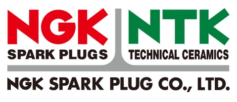 СВЕЧА ЗАЖИГАНИЯ V-LINE 3 NGK 4553