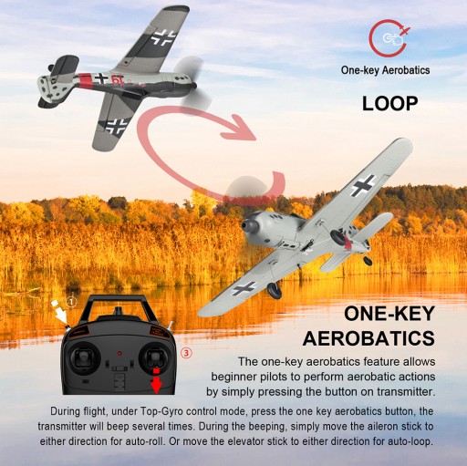 TOP RC HOBBY Mini FW190 Самолет с дистанционным управлением