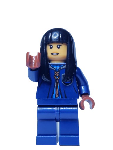 LEGO Harry Potter 30651 Тренировка по квиддичу