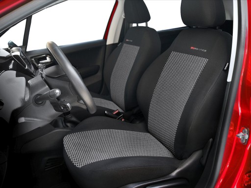 Чехлы P2, посвященные RENAULT SCENIC II 2