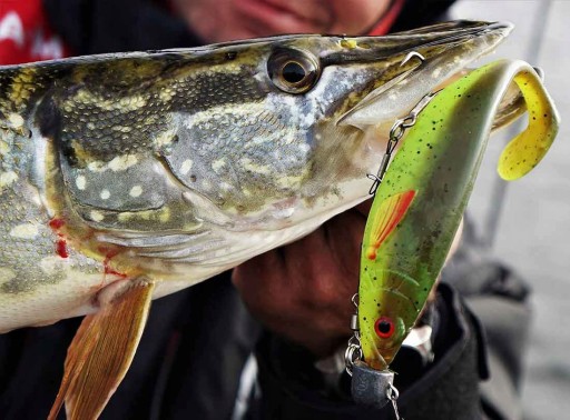 KILLER для щуки DAM Effzett FZ STRIKE SHAD 11 см / 11 г / Golden Shiner