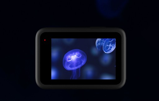Объектив с крышкой ЖК-экрана Telesin GoPro 9 10 11