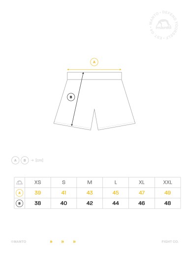 Шорты MANTO MMA Грэпплинг DEBZA L