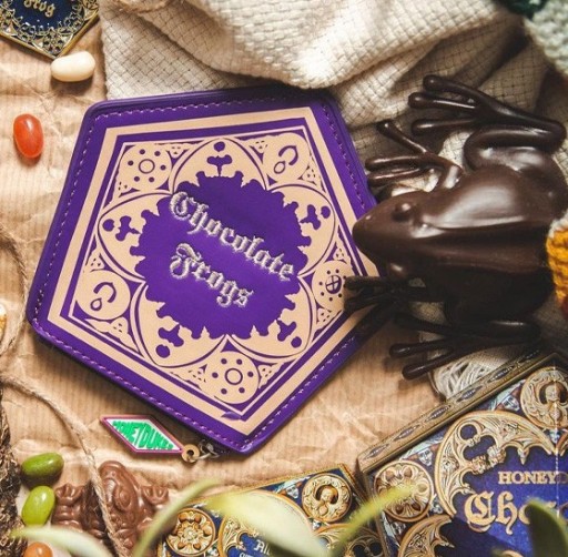 PORTMONETKA HARRY POTTER CZEKOLADOWA ŻABA PORTFEL