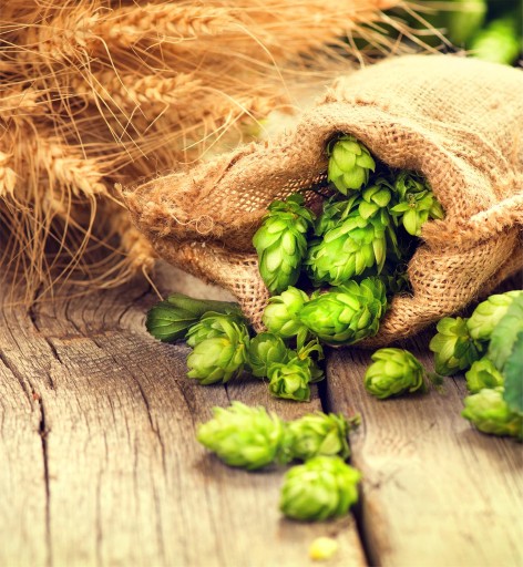 СТЕКЛО ЗАЩИТНАЯ ДОСКА КЛЕЙНАЯ ПАНЕЛЬ 60x65 HOPS