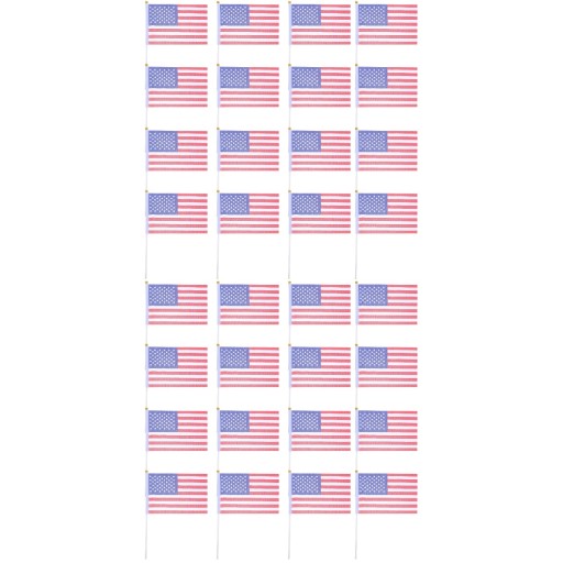 ФЛАГ СОЕДИНЕННЫХ ШТАТОВ США ДЕРЖАТ В РУКАХ ФЛАГИ