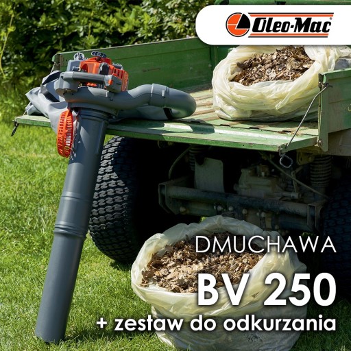 OLEO MAC BV250 БЕНЗИНОВЫЙ САДОВЫЙ ПЫЛЕСОС СВЕТОДУВКА ДЛЯ ЛИСТ + НАБОР ПЫЛЕСОСА