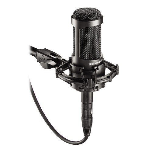 Audio Technica AT 2035 Студийный конденсаторный микрофон