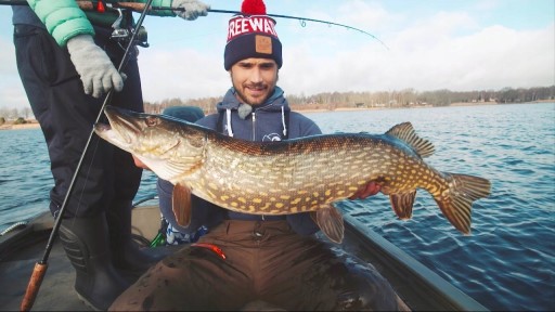 Relax KING SHAD ZANDER РЕЗИНА 4 дюйма - 11,5 см