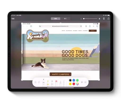 РУЧКА-КАРАНДАШ ДЛЯ IPAD AIR / PRO STYLUS ACTIVE TABLET GENERATION 2