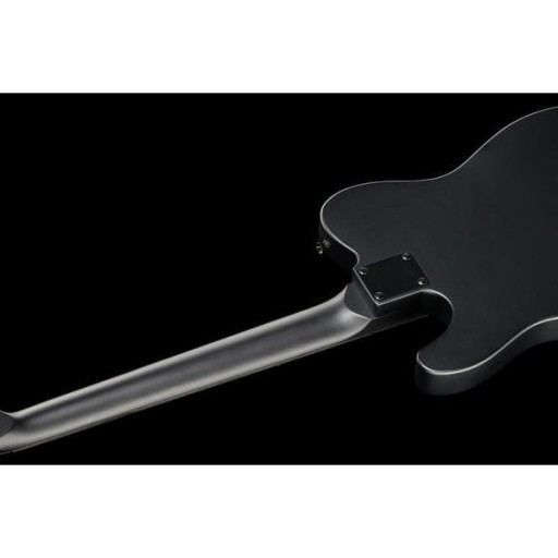 Электрогитара Harley Benton TE-20HH SBK стандартной серии