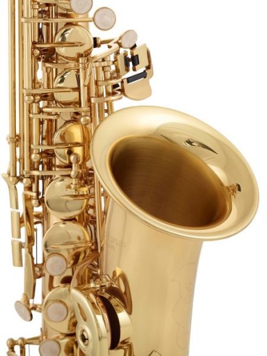 Альт-саксофон Startone SAS-75 | 24 часа