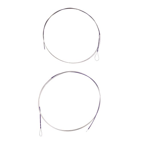 2X 2 шт./компл. внутренние и внешние струны Erhu