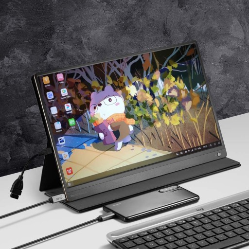 13.3 Сенсорный монитор USB-C для Steam Deck