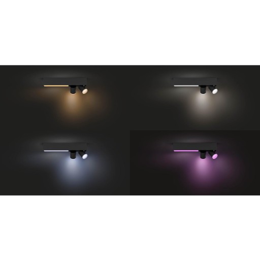 Philips Hue Centris 2-spot black special form BT