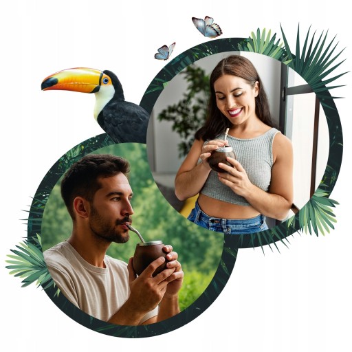 Yerba Mate Green Sarsaparilla Citrus Mega Power of Refreshment 400 г в ПОДАРОК