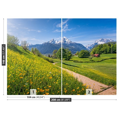 Фотообои Латексные Идиллические Альпы 208x146 КЛЕЙ