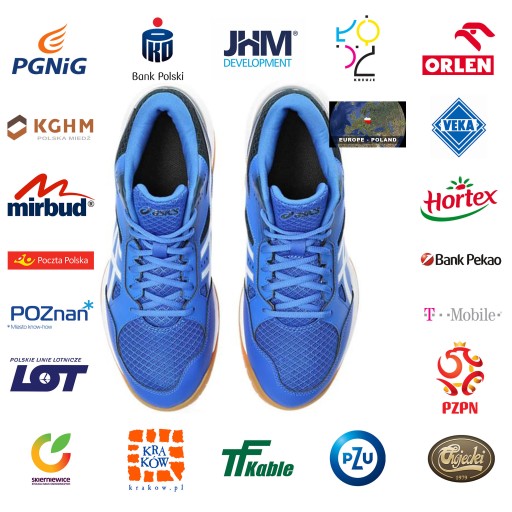 Мужские волейбольные кроссовки Asics Gel-Task MT3