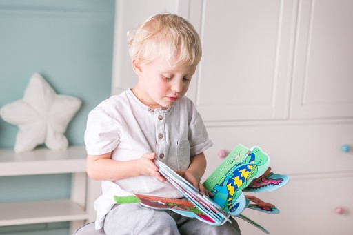 Edukacyjna Miękka Książeczka Świat Dinozaurów 0+