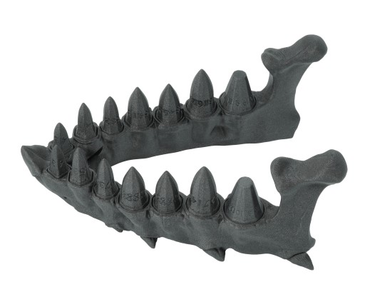 Челюсть дракона с набором кубиков из драконьих зубов — Dragon Teeth Dice Set