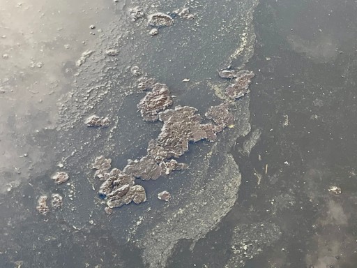 10 КГ МЕЛ ДЛЯ ПРУДА И ВОДЫ Прудовая рыба, карбонат извести