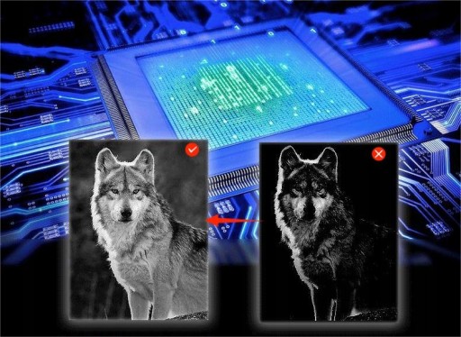 ИНФРАКРАСНЫЙ НОЧНОЙ ВИДЕНИЕ БИОСКОП 1080P 800м 6Вт