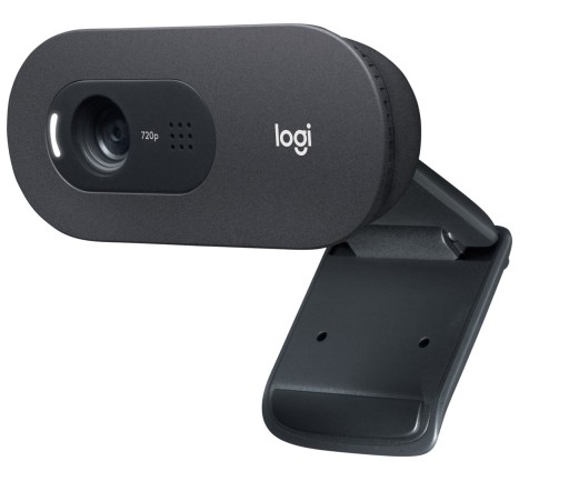 Веб-камера LOGITECH C505E HD, черная