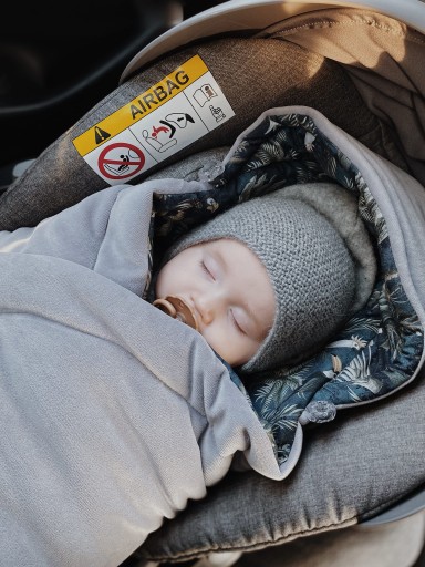Плед для автокресла Royal Baby Pink Sleepee