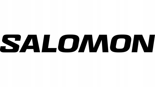 Мужские трекинговые туфли Salomon TOUNDRA PRO CSWP, размер 43 1/3