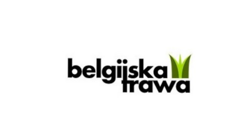 Искусственная зеленая трава из рулона СКВАШ для бассейна, сада, флизелина, балкона, дома