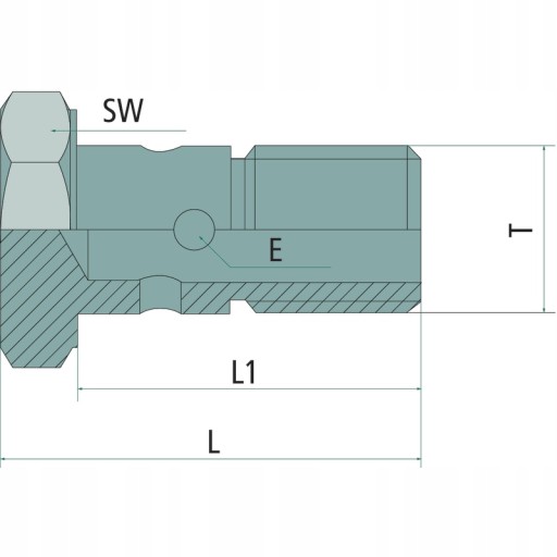 ГРАНИТ Полый винт M12x1,5 L30 L1 24 SW17 PN350