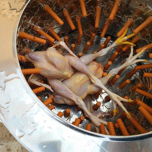 Куриный утиный ощипчик