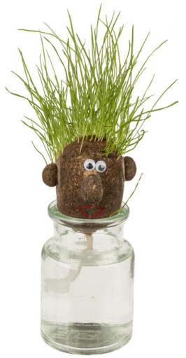 ГОЛОВА С ТРАВОЙ Голова мистера GRASS HEAD - трава