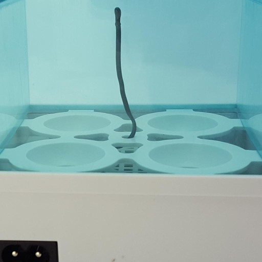 Mini cyfrowy inkubator do jaj przezroczystych Wylęgarnia 4 jaj z wyświetlaczem LCD