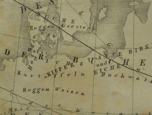 1835r. Stara Mapa roślinności Europy 42x32 cm
