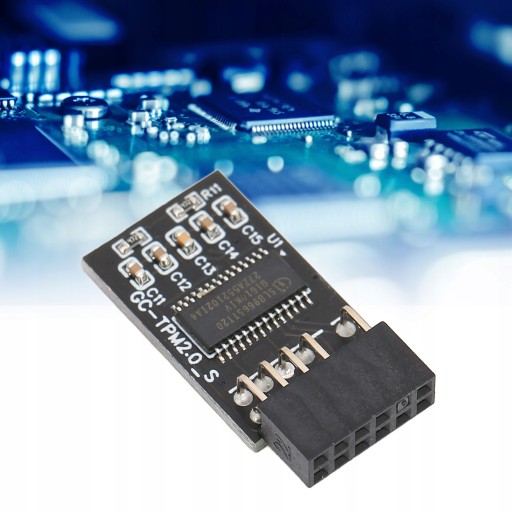 МОДУЛЬ БЕЗОПАСНОСТИ TPM2.0 GIGABYTE PLATFORM12PIN