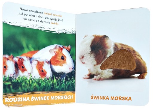 КНИГА КНИГА ДЕТЯМ ДОМА ЖИВОТНЫЕ