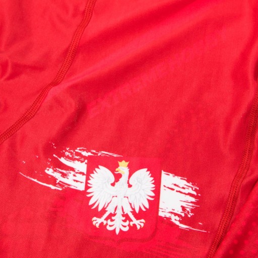 Мужские велосипедные леггинсы POLAND National Team L